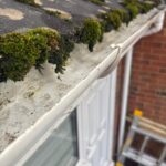 WhatsApp Image 2026 02 09 at 11.39.48 PM 1