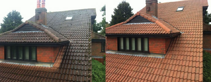 Roof Cleaning Before and After 3