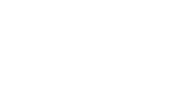 Drone Exterior Solutions Ltd