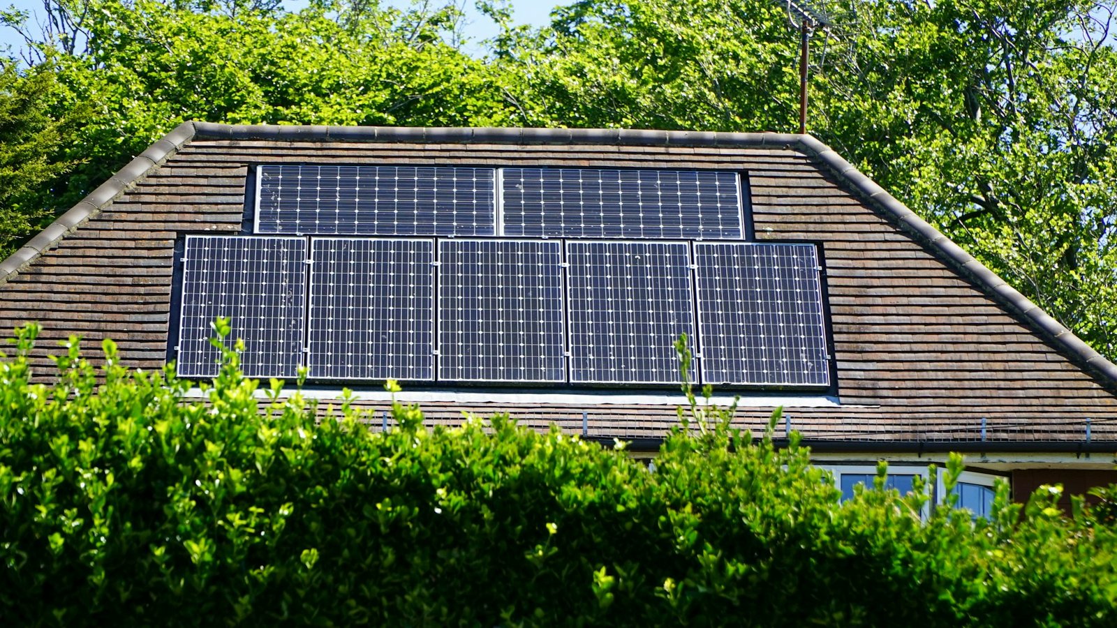 Solar Panel Cleaning & Bird Proofing