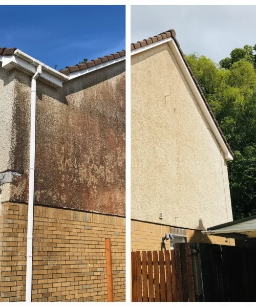 Wall cleaning completed in Ascot Surrey using soft wash treatment to remove algae, dirt and surface staining safely